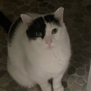 Meet your Posher, Judy